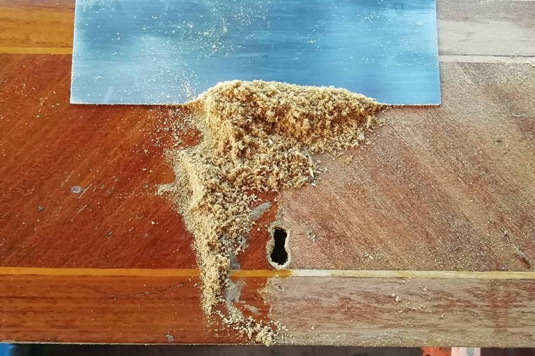 vista del proceso de restauracion